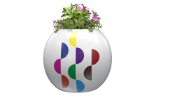 Colección 1 vista 1