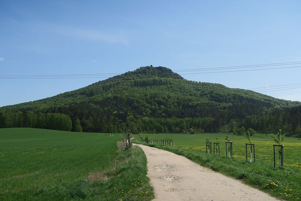 Ralsko