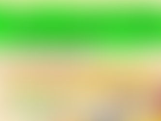 夏休み子供格闘技教室追加情報!