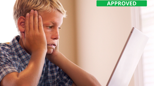 Boy using the internet