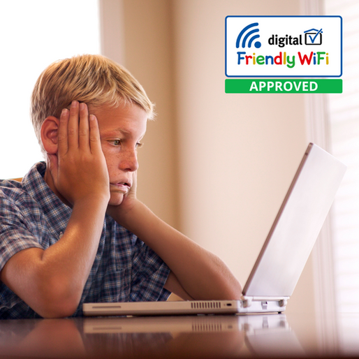 Boy using the internet
