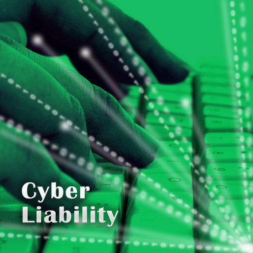 Cyber Liability