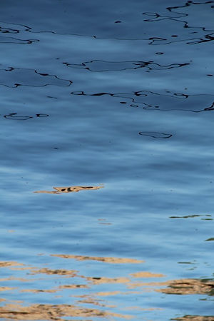 Abstract photography, abstract art, water reflection, blue and earthy colour palette, Venice