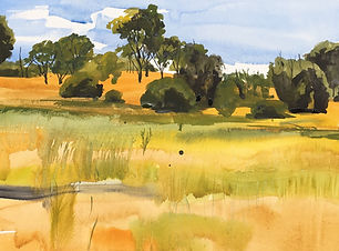 Watercolor