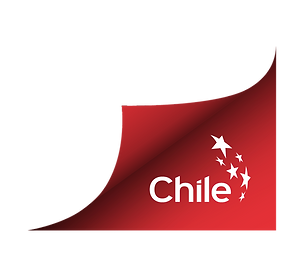 Logo_Marca_Chile_Pestana_1.png