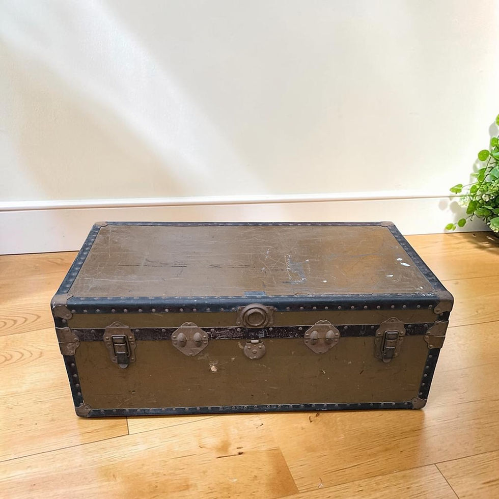 Vintage Excelsior Organizer Trunk AU$250