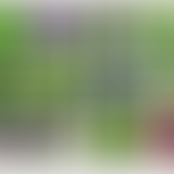 Raised Planter Planting Design