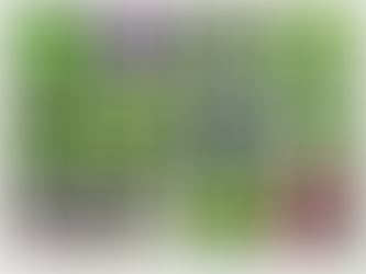 Raised Planter Planting Design