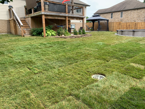 Stud Framing, Sod and yard leveling. Windsor ON