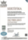 ISO 9001 TR