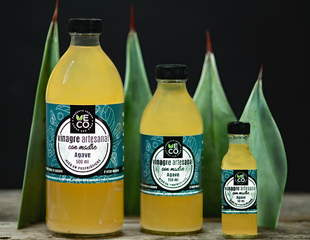 Captura de pantalla 2024-12-13 a la(s) 8.13.09.png