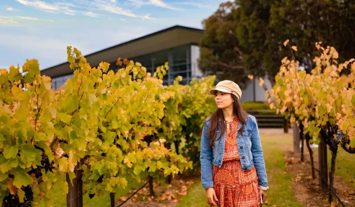 Barossa and Hahndorf Highlights