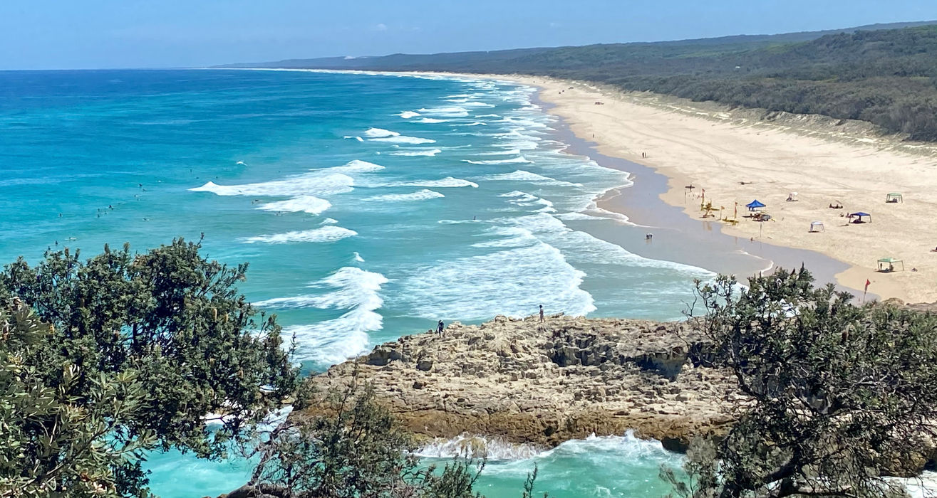 North Stradbroke Island Wildlife Adventure Tour