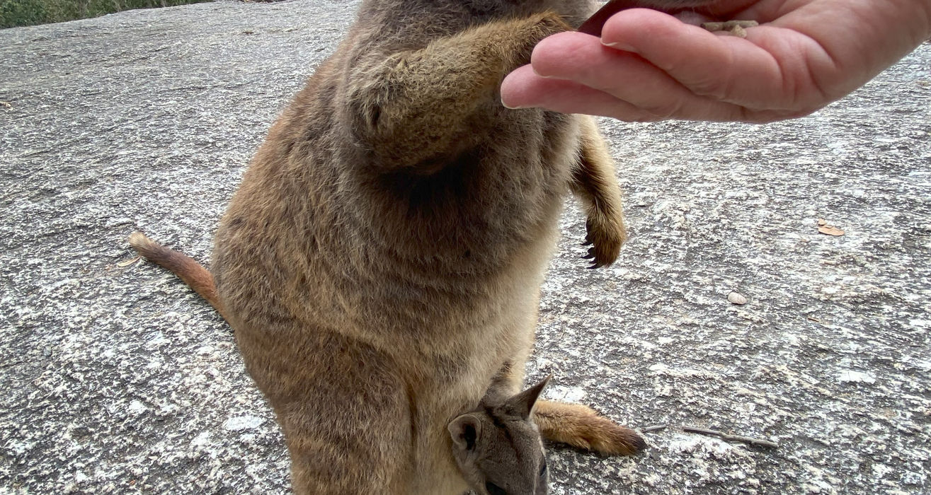Taste Of Tablelands australia