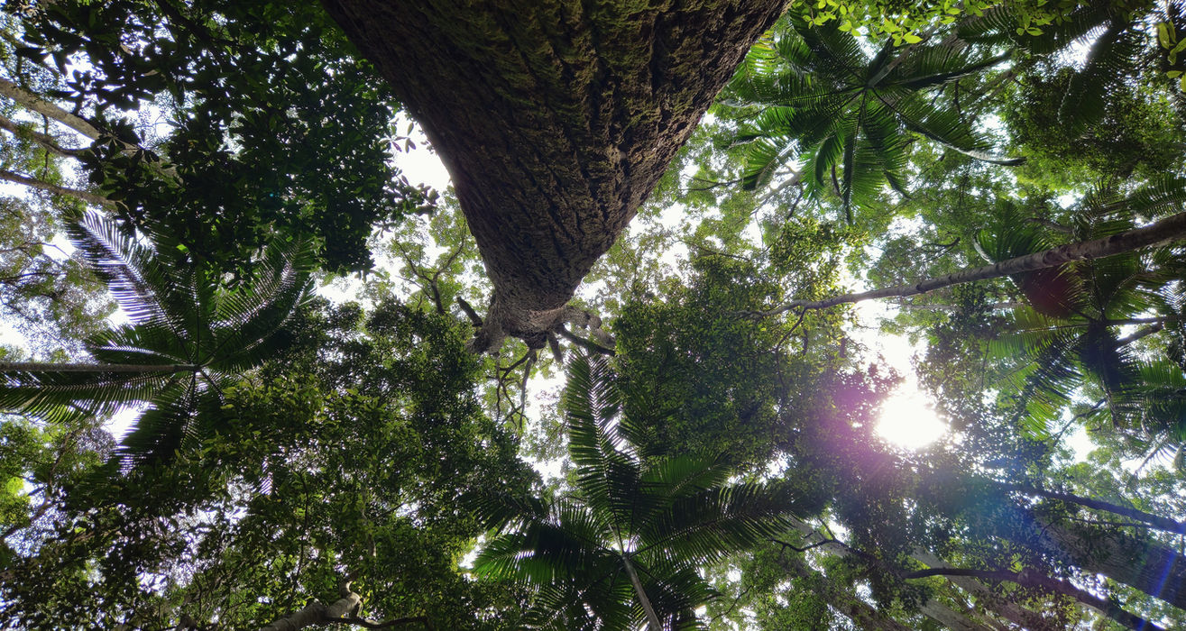 K'Gari (Fraser Island) Day Tour - Noosa to Noosa