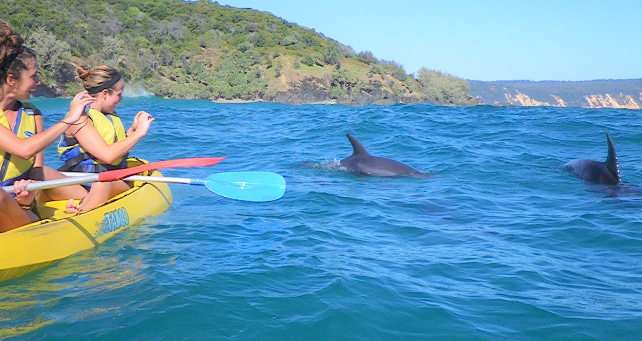 Noosa Dolphin View Sea Kayak & Beach 4X4 Adv... 