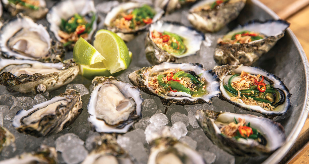 1-Day Coffin Bay Tour