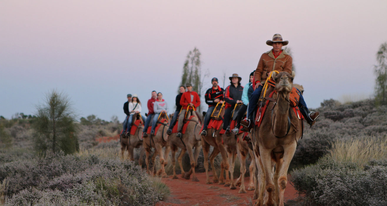 Camel to Sunset