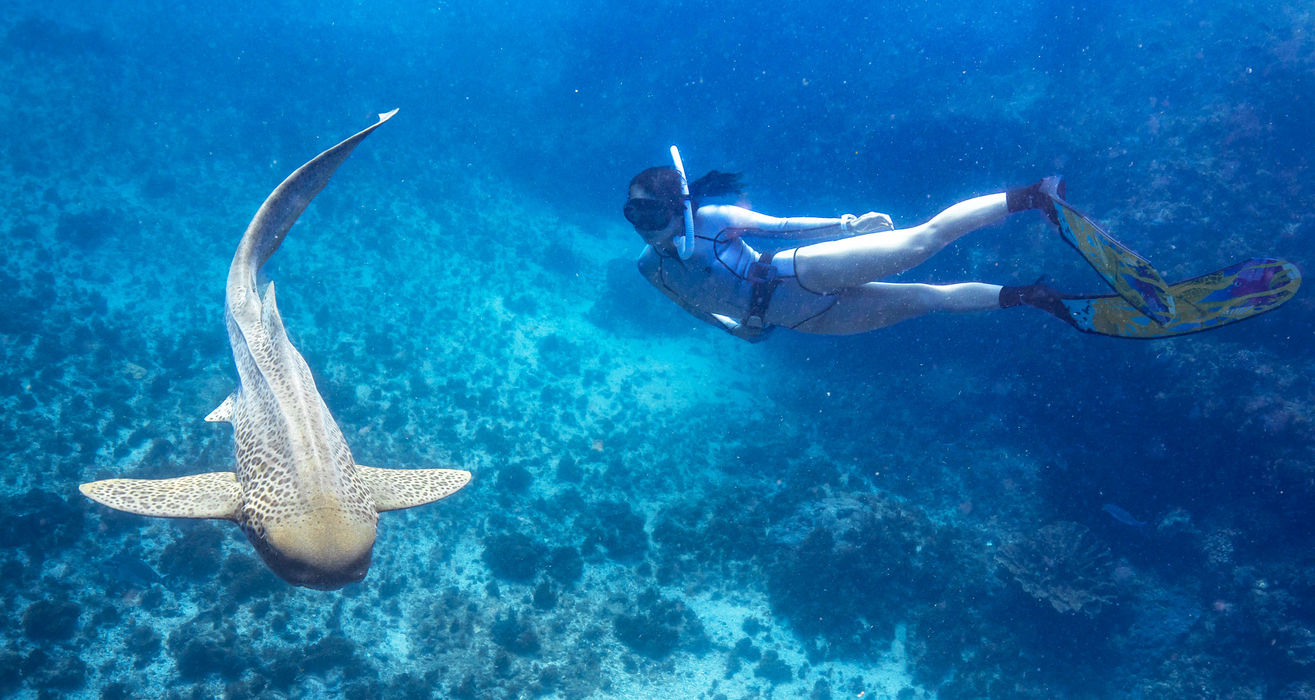 Julian Rocks Snorkel Tour 