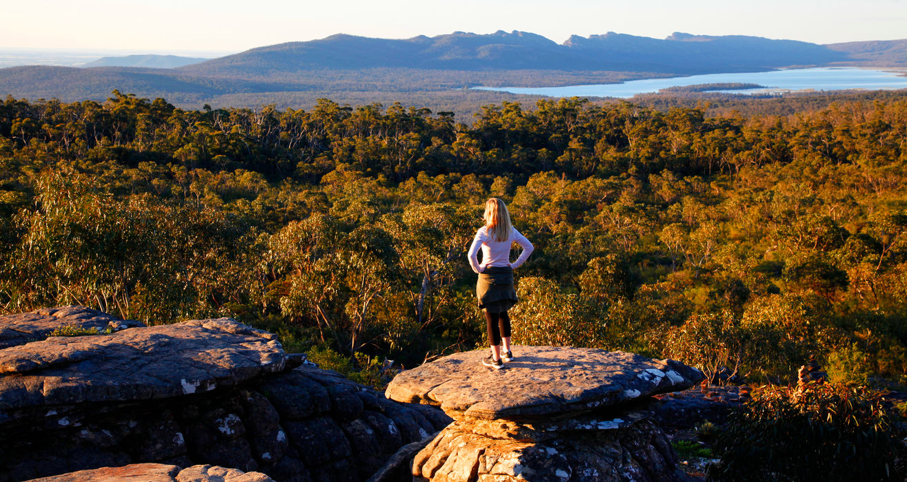 Grampians National Park Wildlife tour