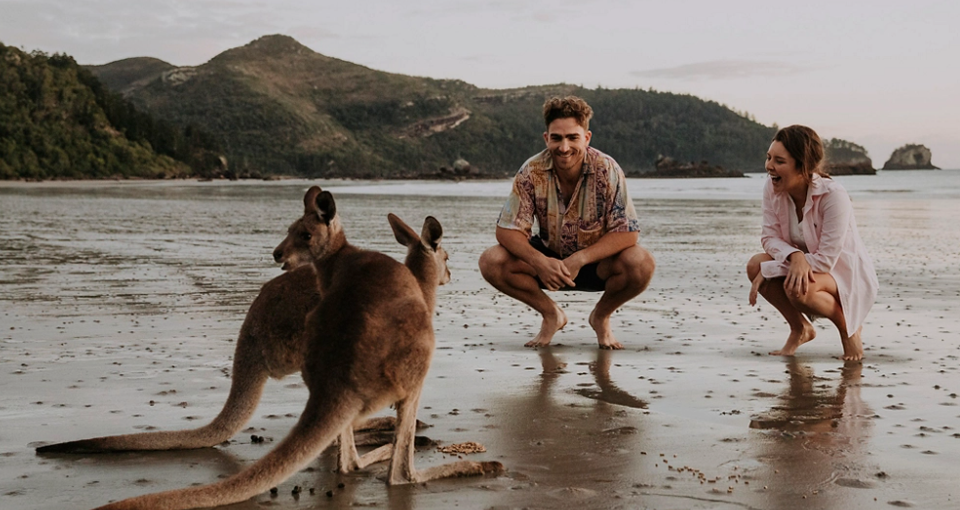 Kangaroos on the Beach Tour