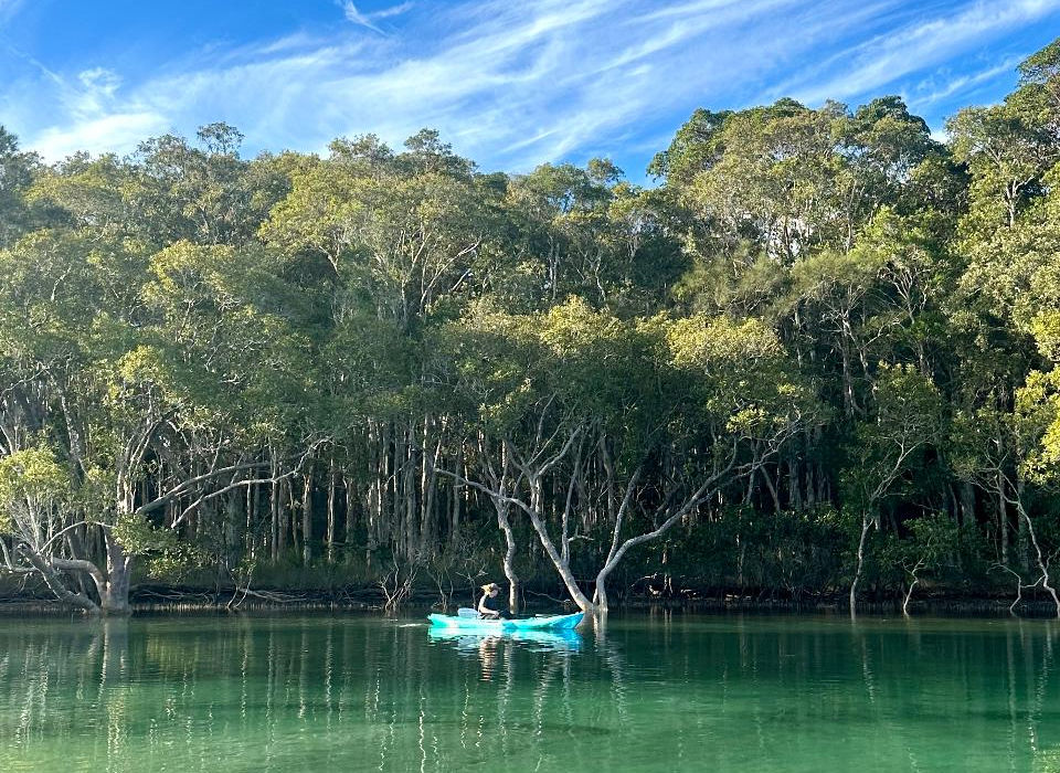 Byron Bay: Kayak & Hike Eco-tour 