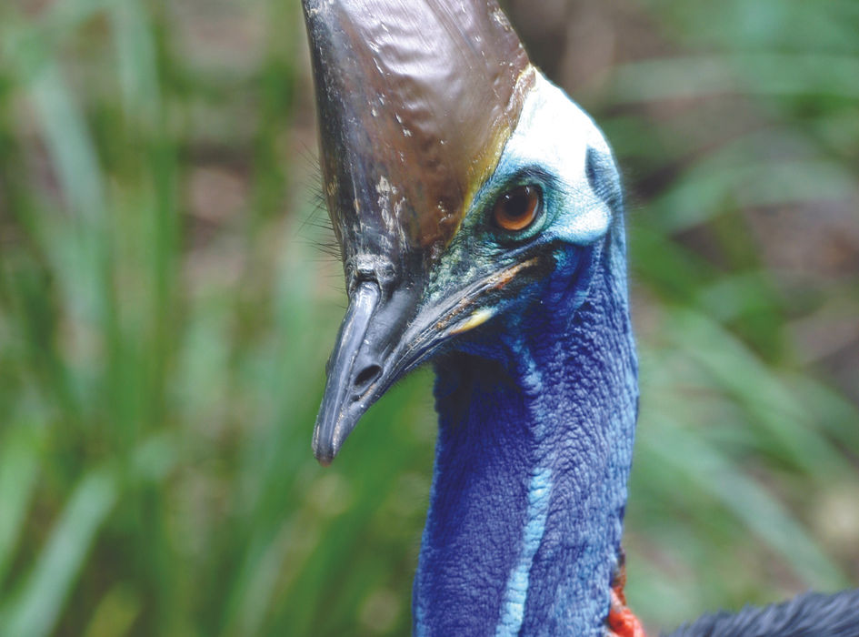 Hartley's Crocodile Adventures (half day) 