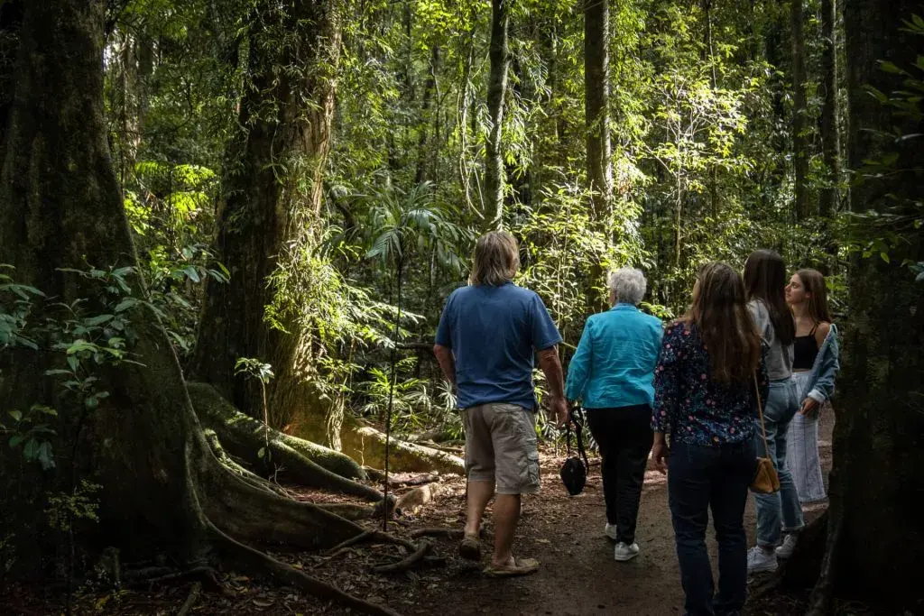 Sunshine Coast Hinterland and Noosa 