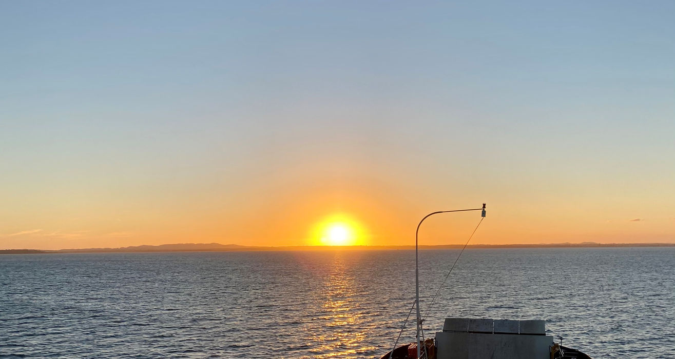 North Stradbroke Island Wildlife Adventure Tour