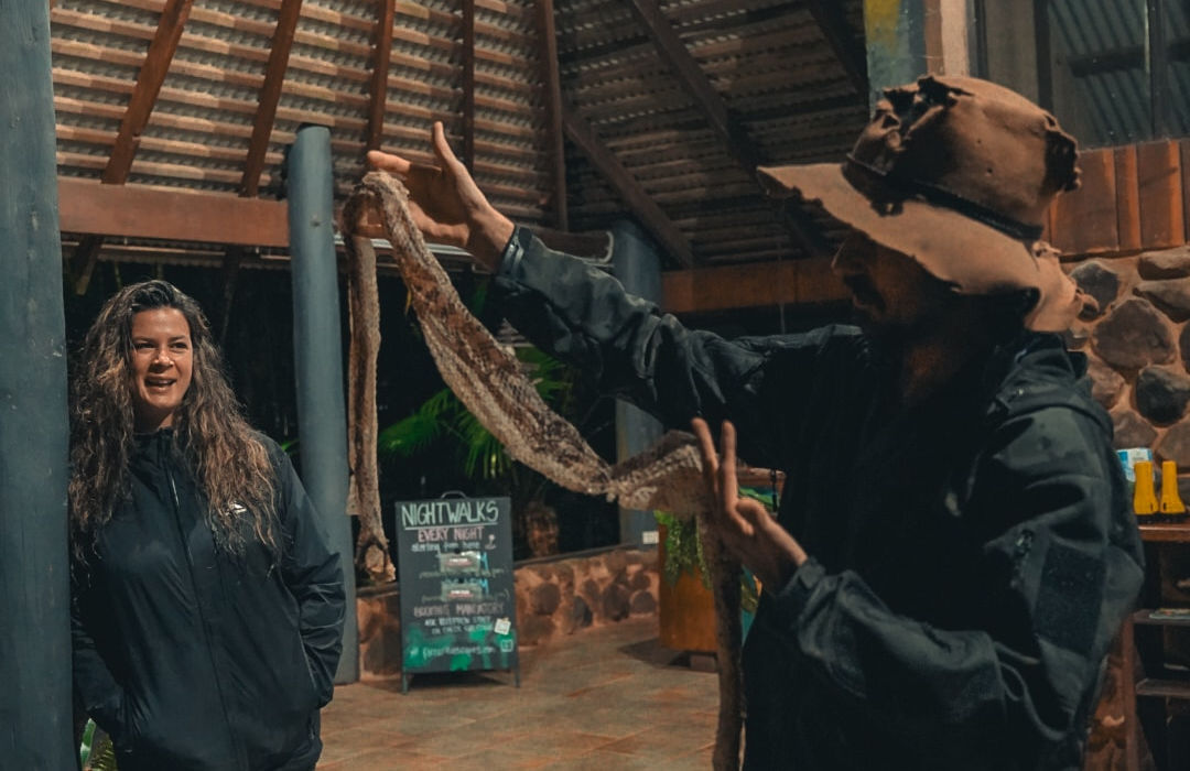 Daintree Rainforest Night Walk Tour 