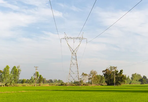 lineas-transmision-electricidad-campos-a (1).webp