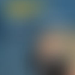 2022年第三季度報告