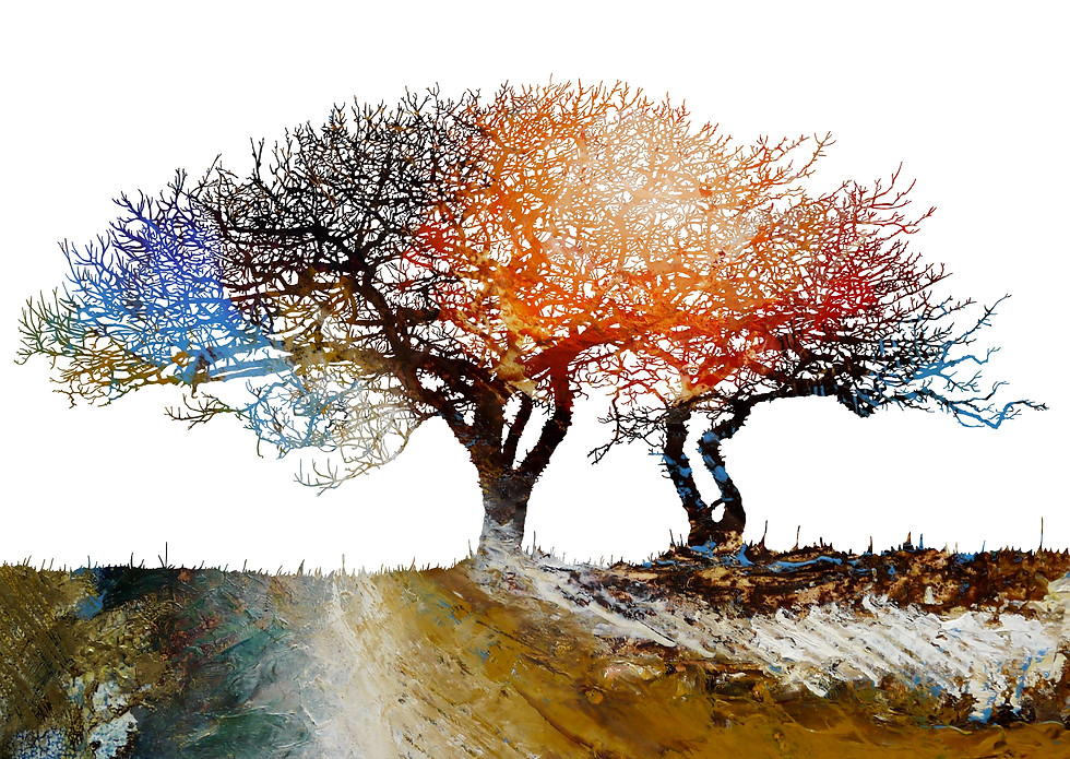 Thumbnail: Collection of ten tree illustration greetings cards