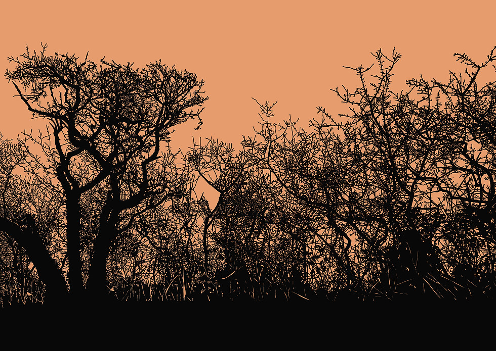 Thumbnail: Collection of ten tree illustration greetings cards