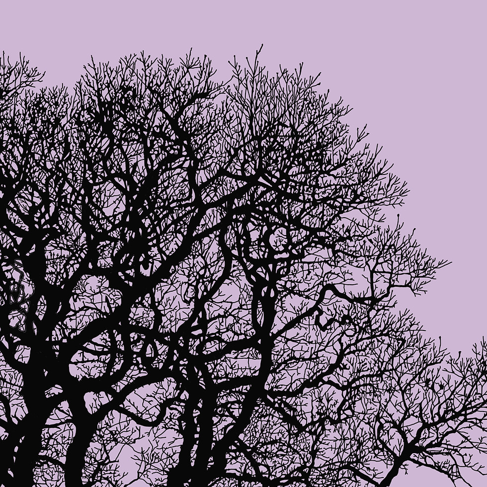 Thumbnail: Collection of ten tree illustration greetings cards