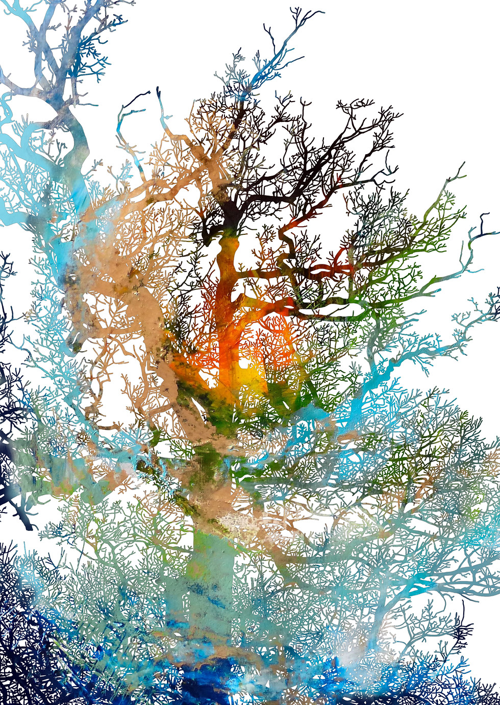 Thumbnail: Collection of ten tree illustration greetings cards