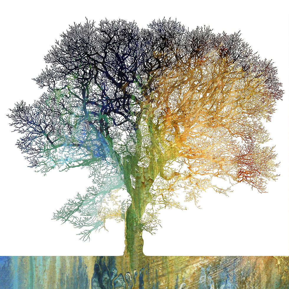 Thumbnail: Collection of ten tree illustration greetings cards