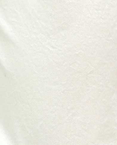 Thumbnail: SHIRT - 2590