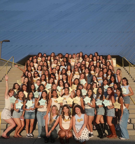 Zeta Tau Alpha Article