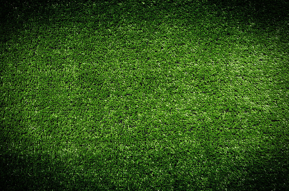 AdobeStock_89471329.jpeg