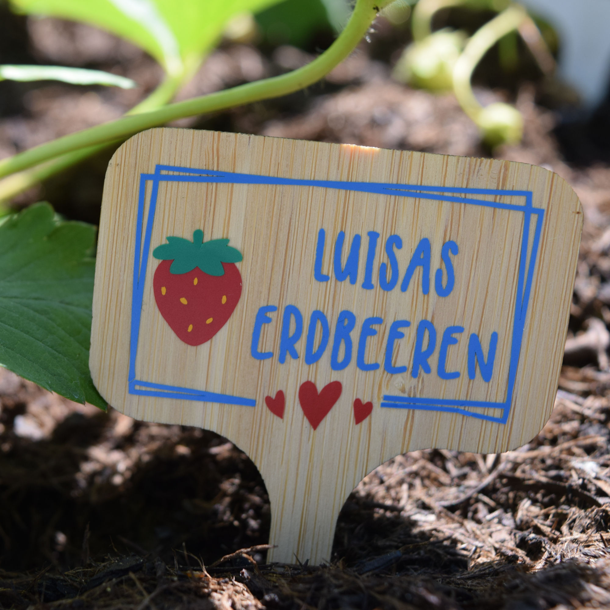 Gemüsestecker aus Holz – personalisiert oder Standard
