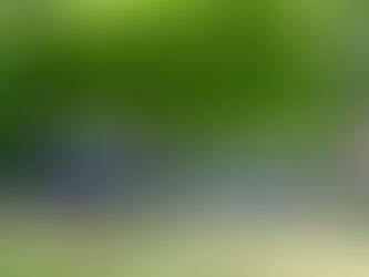 Projekt: Hochbeet bauen mit Kindern – unser Gemüseabenteuer beginnt