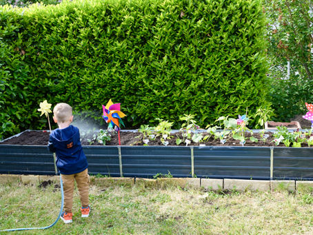 Projekt: Hochbeet bauen mit Kindern – unser Gemüseabenteuer beginnt