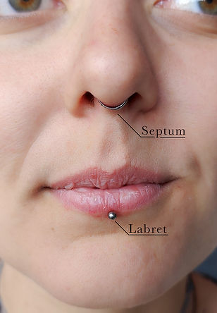 070425septumlabret.jpg