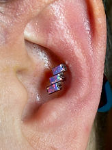 101225conch.JPG