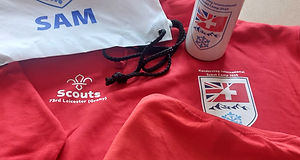scouts image.jpg