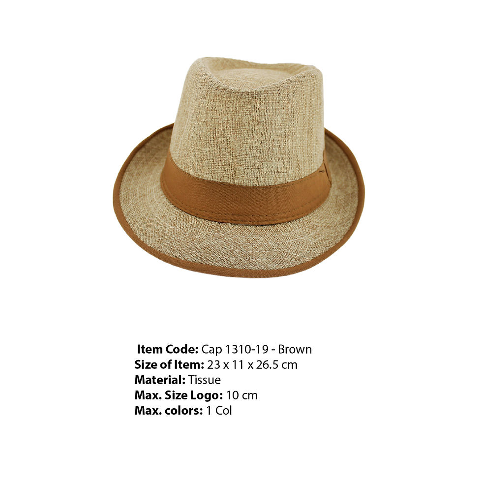 Cap 1310-19 - Brown.jpg