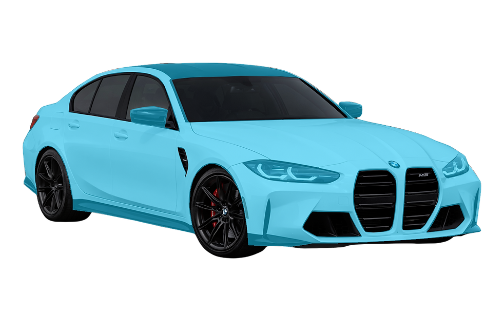 Full Body BMW PPF Myrtle Beach sc