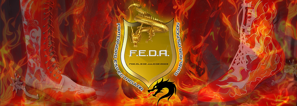 result_05 feda fondo portada 2025 png.png