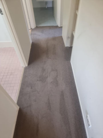 Carpet Cleaning Jobs